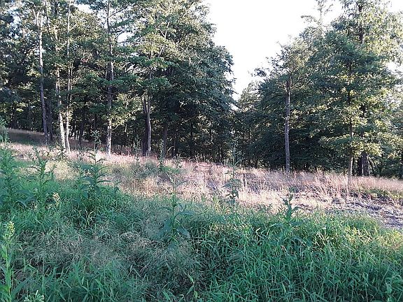 Select cut thinned timber 