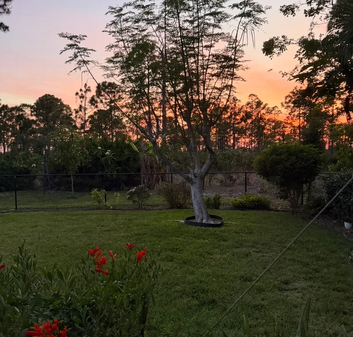 3 bed, 1659 sqft, $2,500 — Photo 4