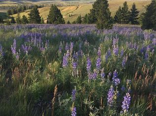 119300 German Gulch Rd, Silverbow, MT 59750