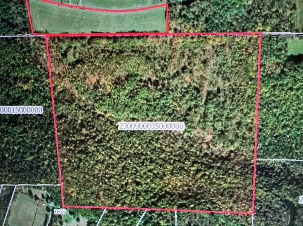 0 Snow Rd, Sayre, PA 18840