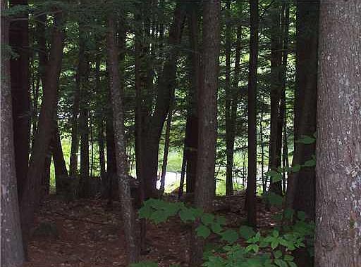 2nd image of 0 Castleview Lane