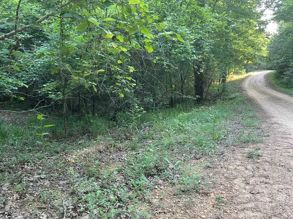 0 Pleasant Ridge Dr, Hamilton, AL 35570