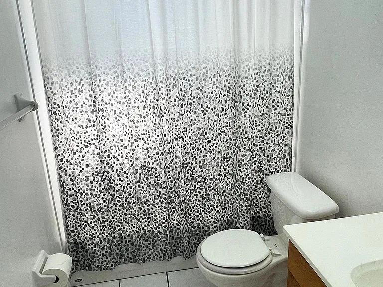 Main Bath - Tub with Shower