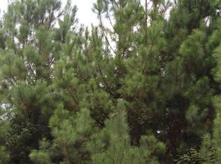 36159 Dunsford Ln, Red Level, AL 36474