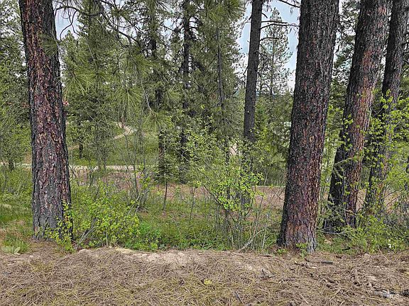 5th image of LOT 10 Skyridge Valley