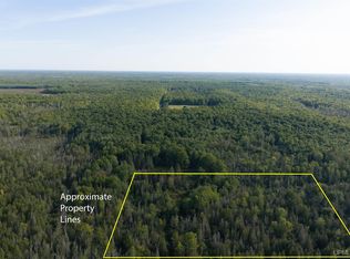 A Off Diffin Rd, Chatham, MI 49816