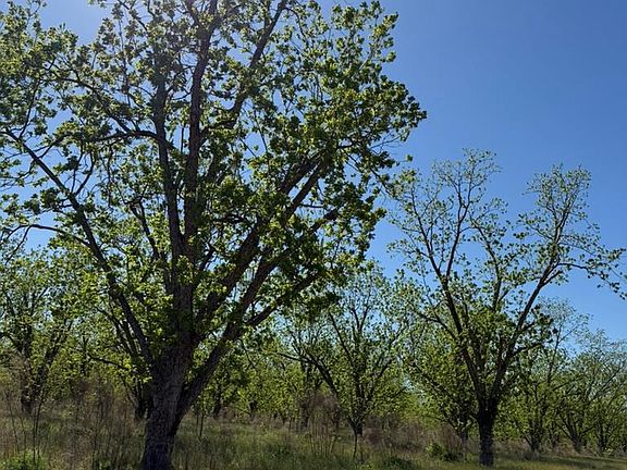5th image of TRACT 2A Ganas Rd