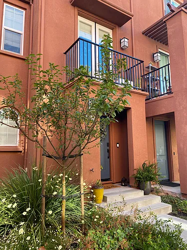 2835 Bisono Way Photo 1