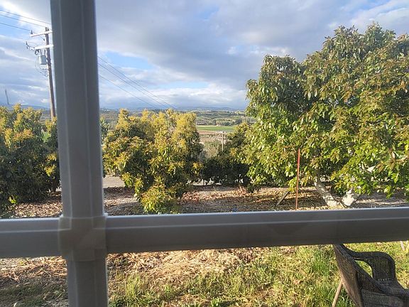 View from the window while sipping my drink