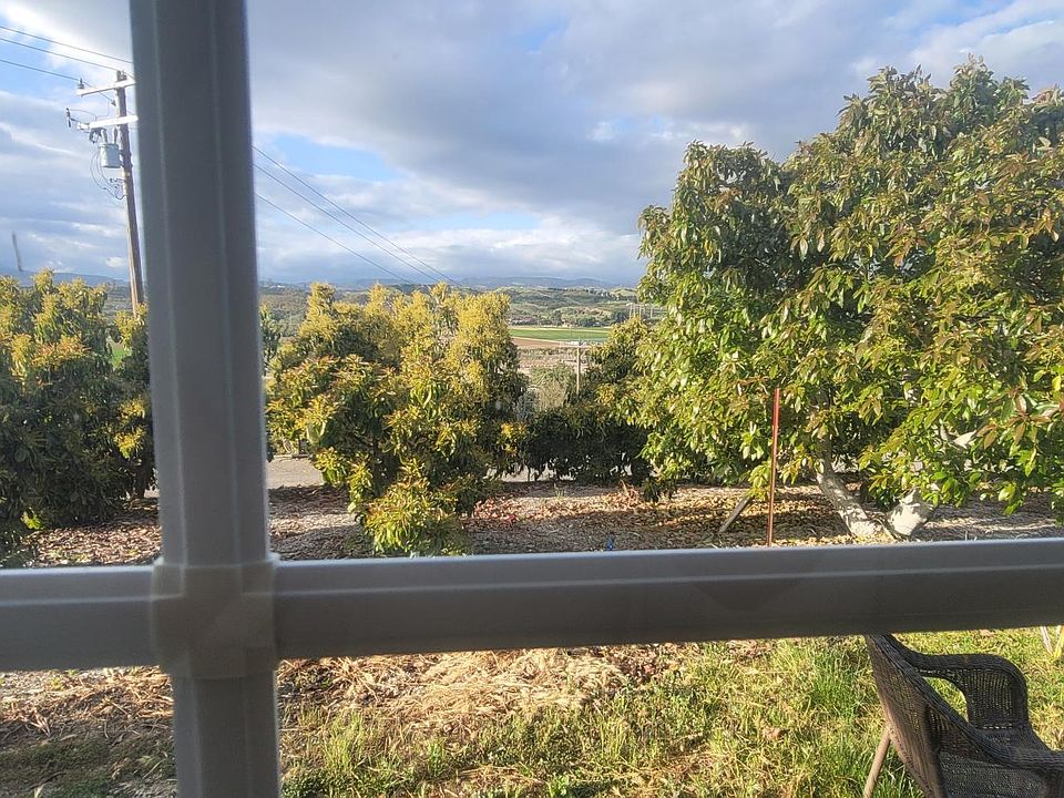 View from the window while sipping my drink