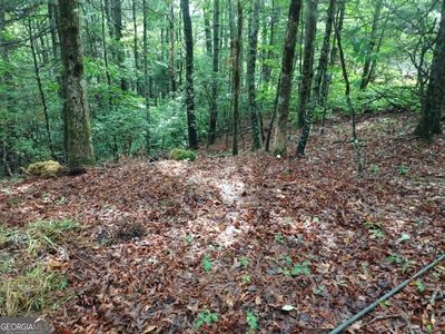 LOT Three Jiminy Peak, Dillard, GA, 30537