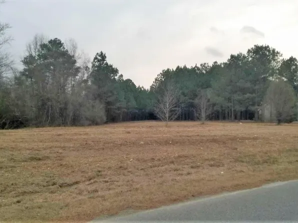 245 Country Haven Rd, Hopkins, SC 29061