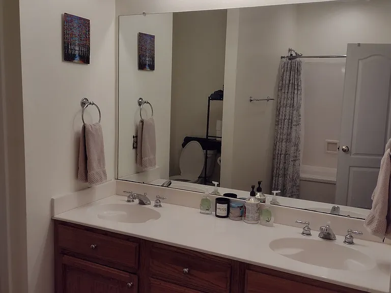 Master Bathroom 3
