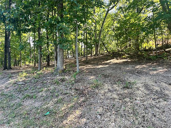 4th image of 31 Willow Ridge Rd