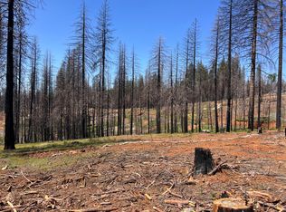 5230 Golden Aspen Ct, Grizzly Flats, CA