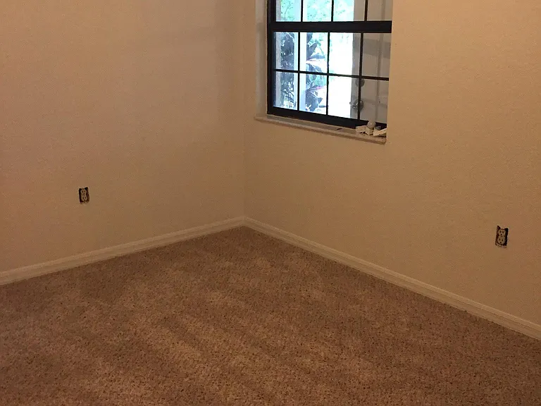 Guest bedroom window.