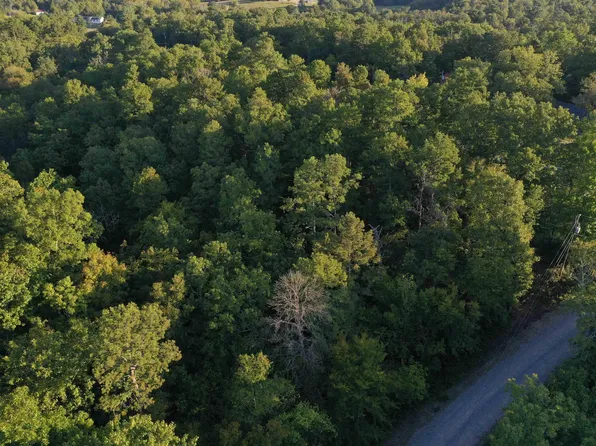 0 Riverview Ln, Mount Ida, AR 71957
