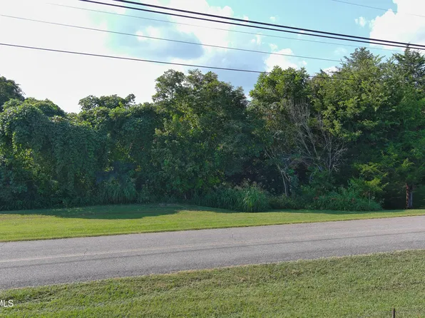 0 Weems Chapel Rd, Mosheim, TN 37818