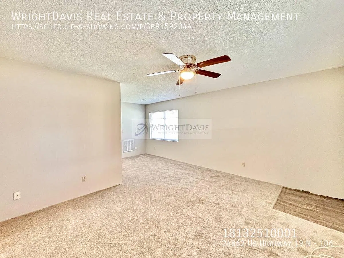 24862 US Highway 19 N — Photo 3