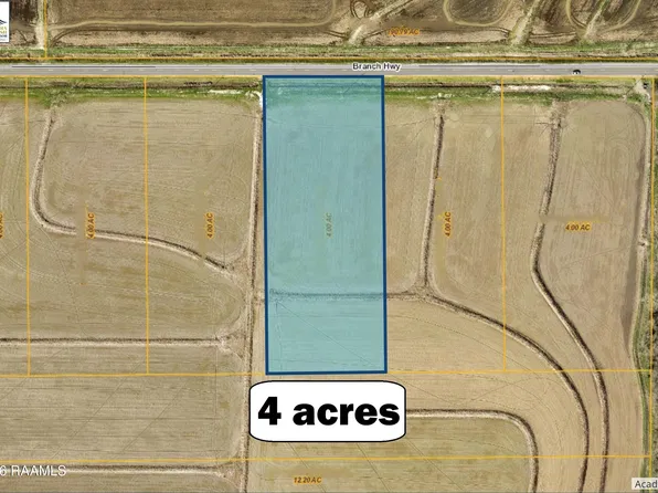 0 Branch Hwy #8, Branch, LA 70516