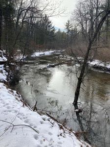 1543 W 88th St, Baldwin, MI, 49304