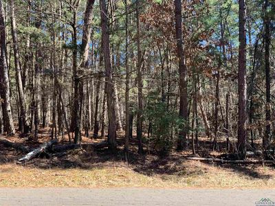 Tbd Cr 1597, Avinger, TX, 75630