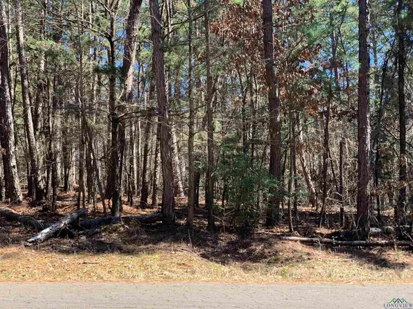 Tbd Cr 1597, Avinger, TX 75630