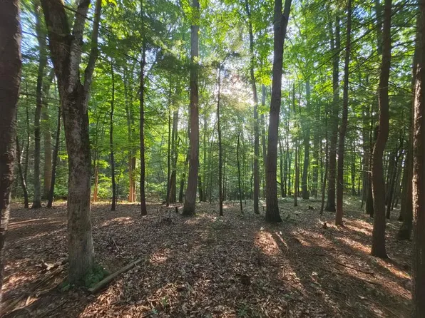 Tbd Shady Forest Rd, Max Meadows, VA 24360