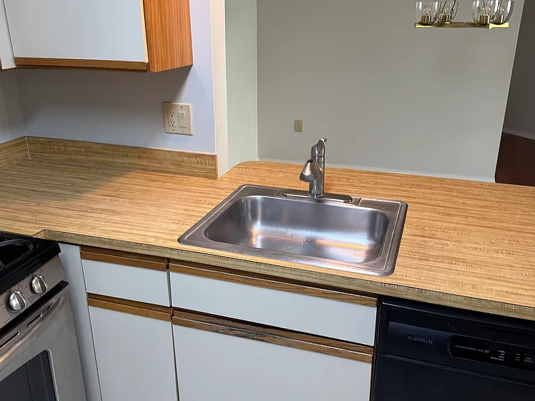 311 Society Pl — Photo 16