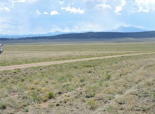 173 Routt Rd, Hartsel, CO 80449