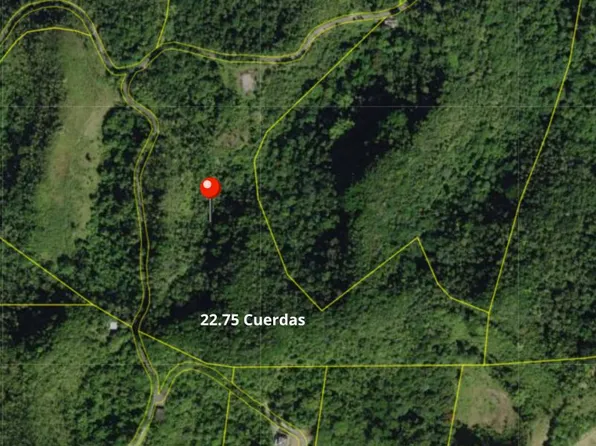 Barrio Santiago, Camuy, PR 00627