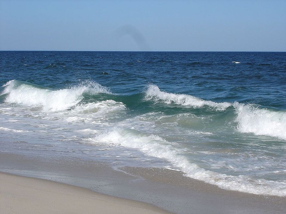 Surf