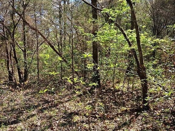 3rd image of 91 Mohawk Dr