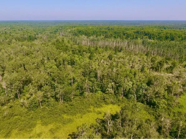 62 N Little Ox Creek Dr, Sandstone, MN 55072