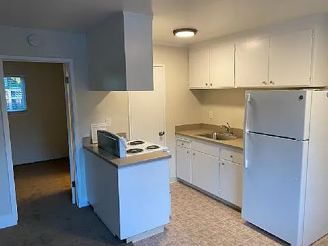 318 Chestnut St #5 — Photo 13