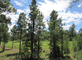 2941 W Snowberry Loop, Show Low, AZ 85901