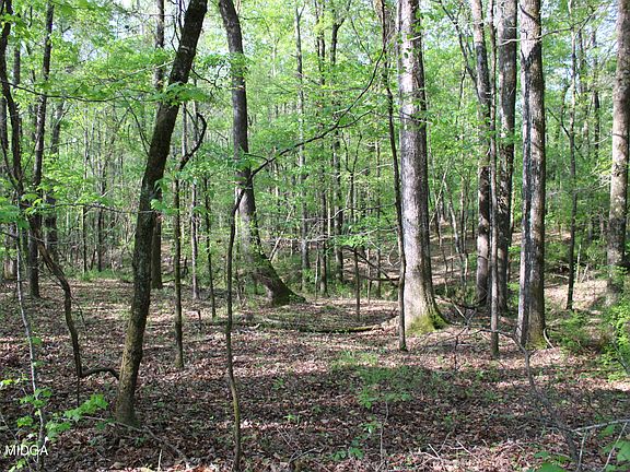 4th image of 0 Ruffner Rd