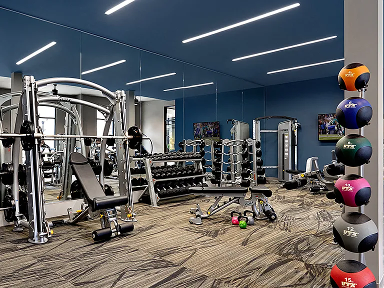 Fully equipped fitness center