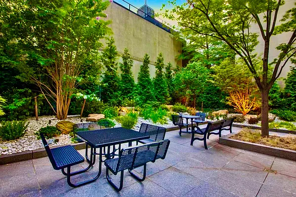 Rented by Compass | media 8