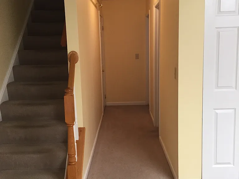 13002 Silver Maple Ct — Photo 23