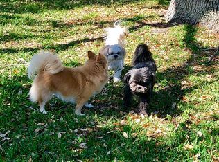 455 19th Pl, Vero Beach, FL 32960