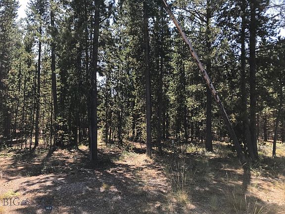 3rd image of Tbd Grouse Ct