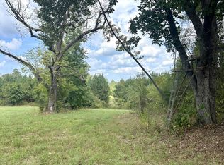 1369 Bethel Rd, Louisville, MS 39339