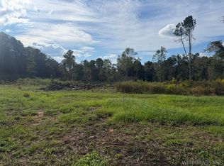 0 County Road 4425, Brundidge, AL 36010