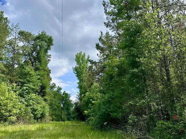 Owens Cut Off Rd, Durant, MS 39063