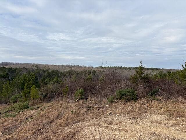 2nd image of 3692 Round Pond Rd
