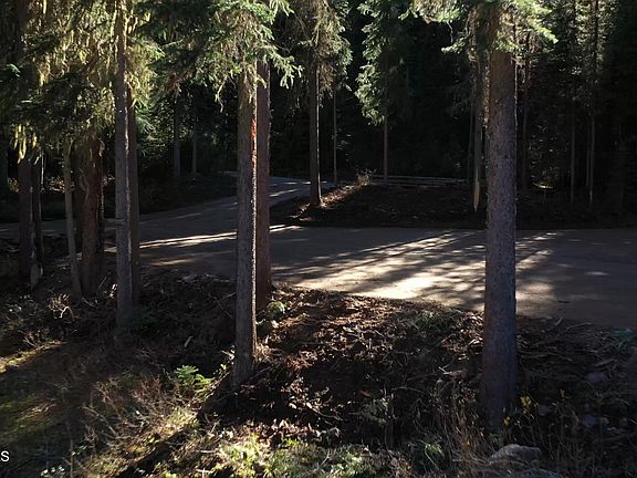 5th image of PARCEL 1 E Fork Spruce Creek Rd