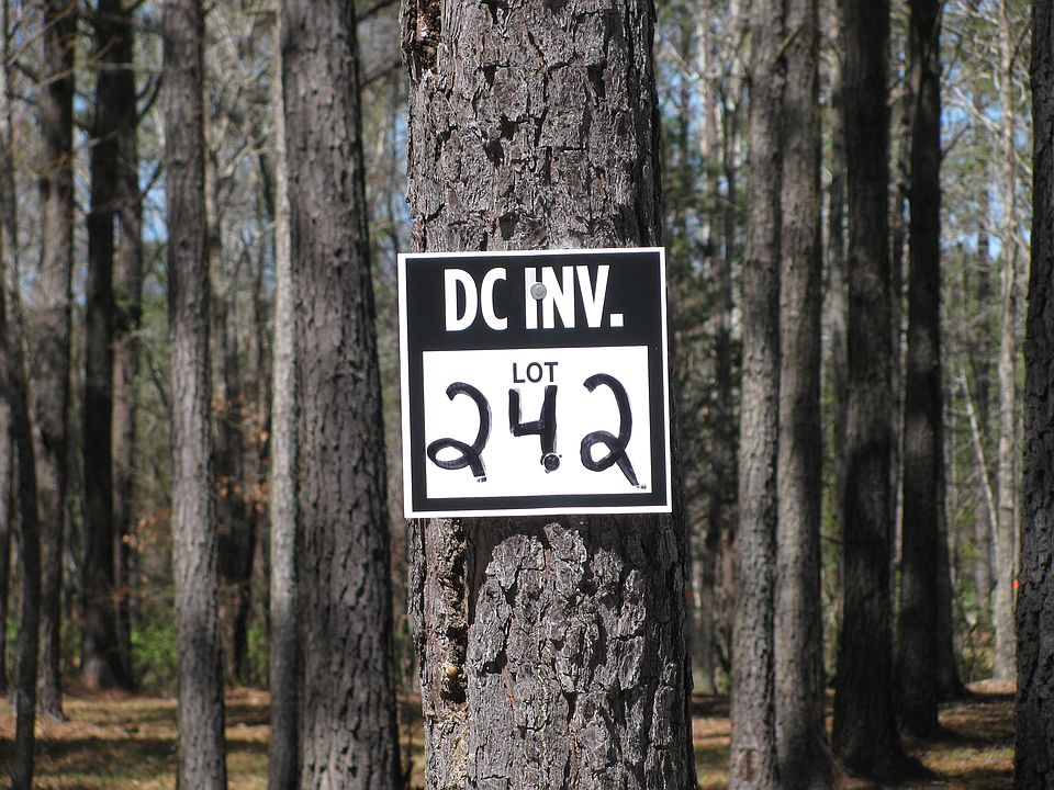 Lot 242