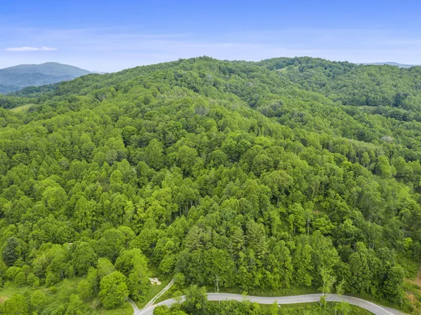 Buck Mountain Rd, Roan Mountain, TN 37687