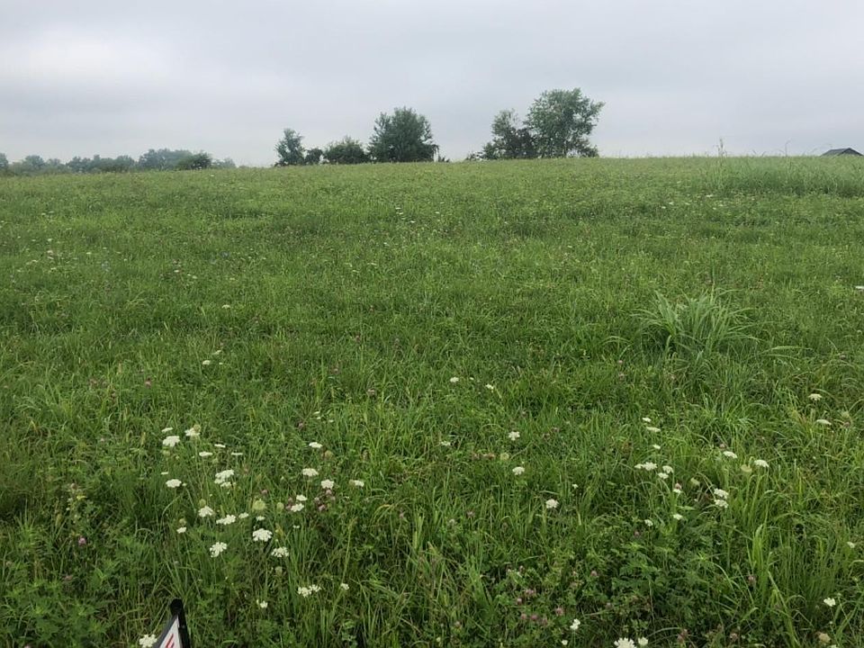 2nd image of 29 Hawkview Trl